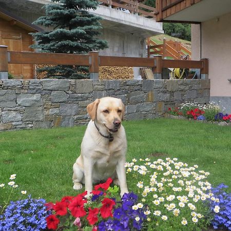 Casa Lucia Apartment Изолача Стая снимка