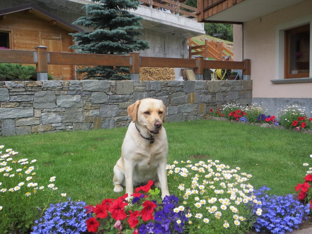 Casa Lucia Apartment Изолача Стая снимка